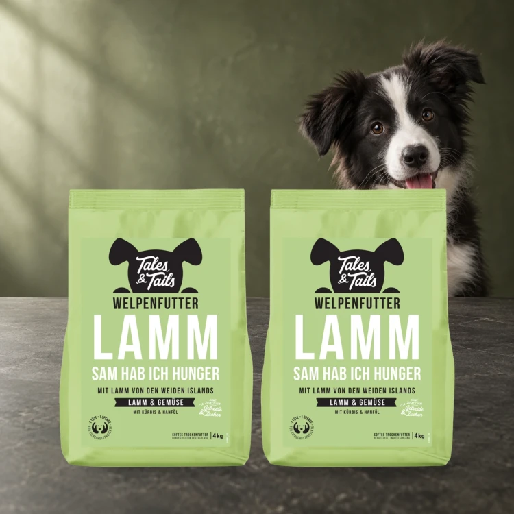 Zestaw Tales & Tails 2 × 4 kg z jagnięciną dla szczeniąt obok szczenięcia.