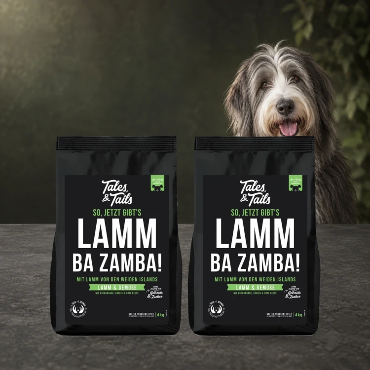 Zestaw Tales & Tails 2 × 4 kg z jagnięciną dla dorosłych psów obok psa.