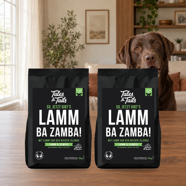 Zestaw Tales & Tails 2 × 4 kg z jagnięciną dla dorosłych psów obok psa w domu.
