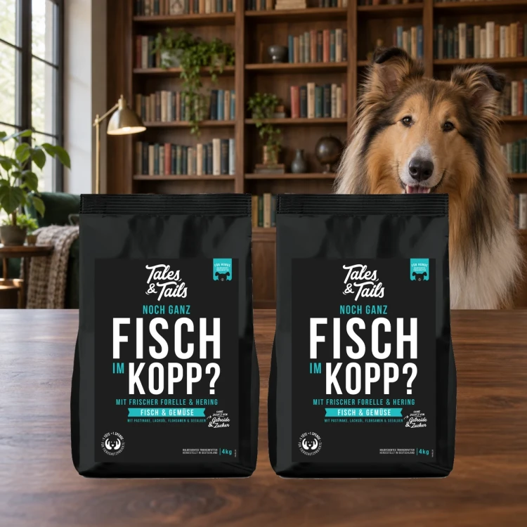 Zestaw Tales & Tails 2 × 4 kg z rybami dla dorosłych psów obok psa w domu.