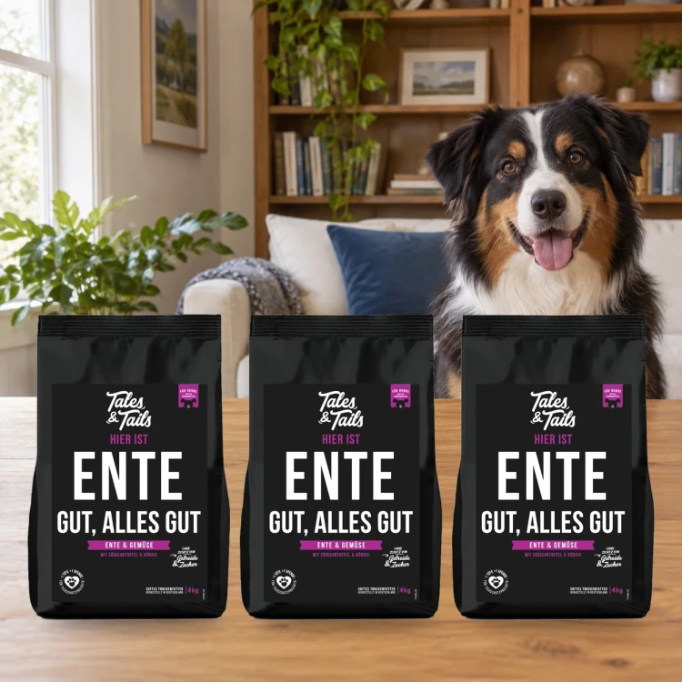 Zestaw Tales & Tails 3 × 4 kg z kaczką dla dorosłych psów obok psa w domu.