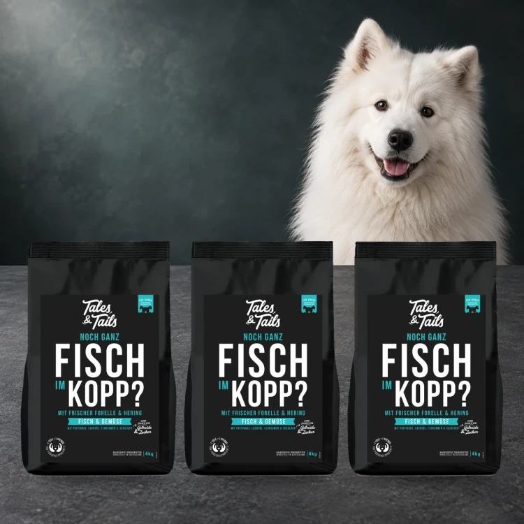 Zestaw Tales & Tails 3 × 4 kg z rybami dla dorosłych psów obok psa.