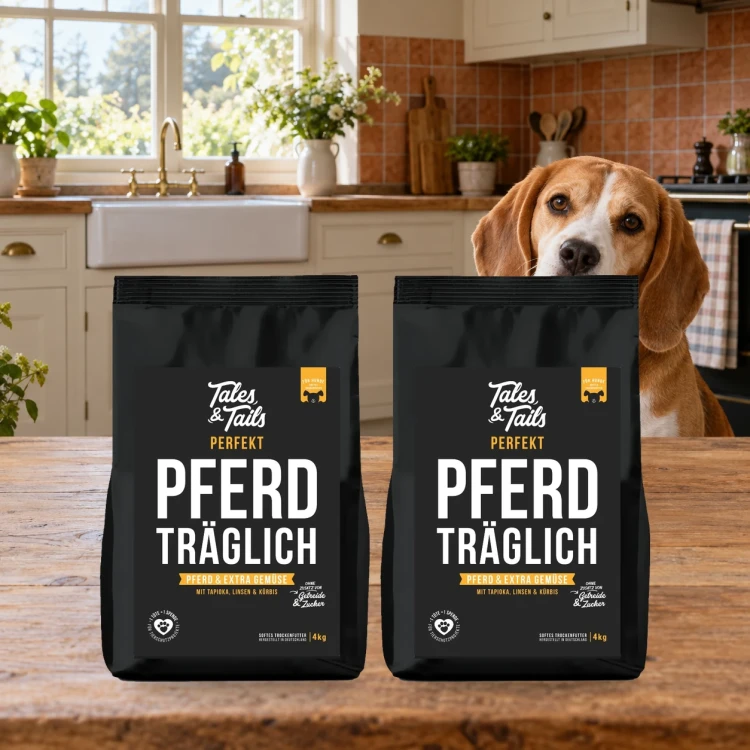 Zestaw Tales & Tails 2 × 4 kg z koniną dla dorosłych psów obok psa w domu.