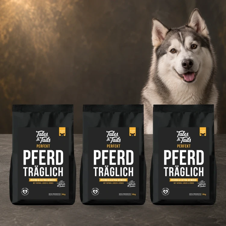 Zestaw Tales & Tails 3 × 4 kg z koniną dla dorosłych psów obok psa.