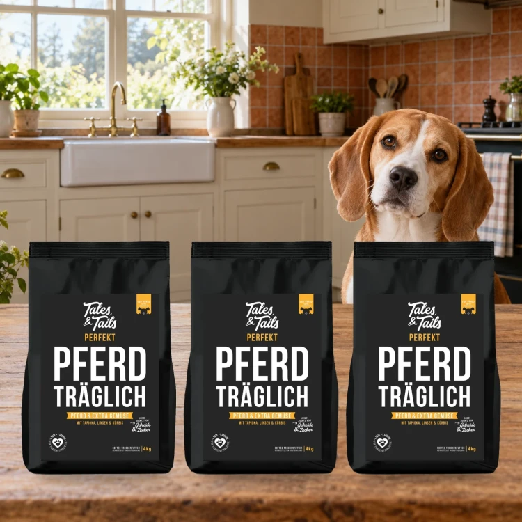Zestaw Tales & Tails 3 × 4 kg z koniną dla dorosłych psów obok psa w domu.