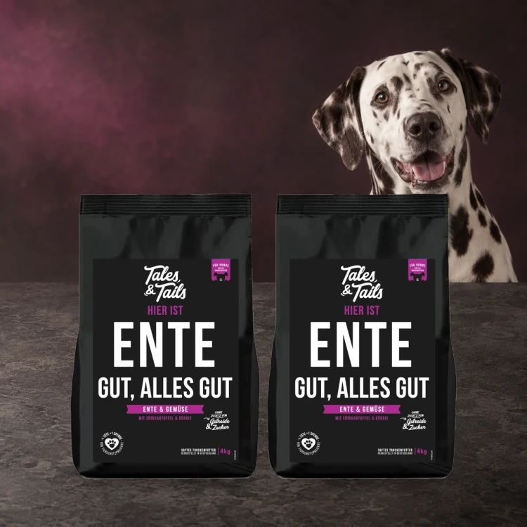 Zestaw Tales & Tails 2 × 4 kg z kaczką dla dorosłych psów obok psa.
