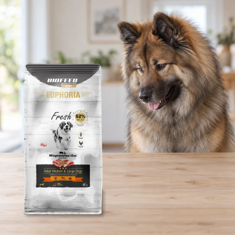 Worek 12 kg karmy Euphoria Fresh z wieprzowiną i gęsią dla dorosłych psów średnich i dużych ras obok psa w mieszkaniu.