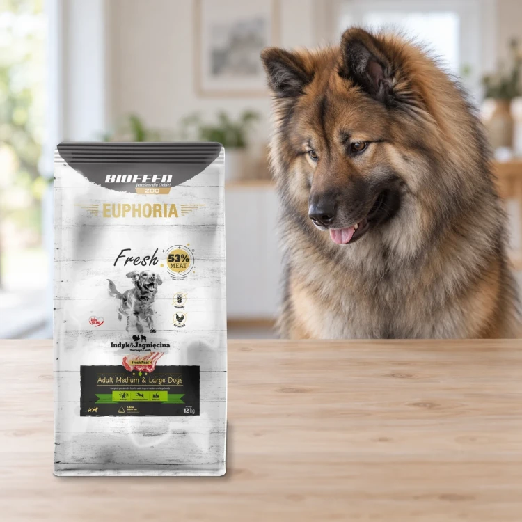 Worek 12 kg karmy Euphoria Fresh z indykiem i jagnięciną dla dorosłych psów średnich i dużych ras obok psa w mieszkaniu.