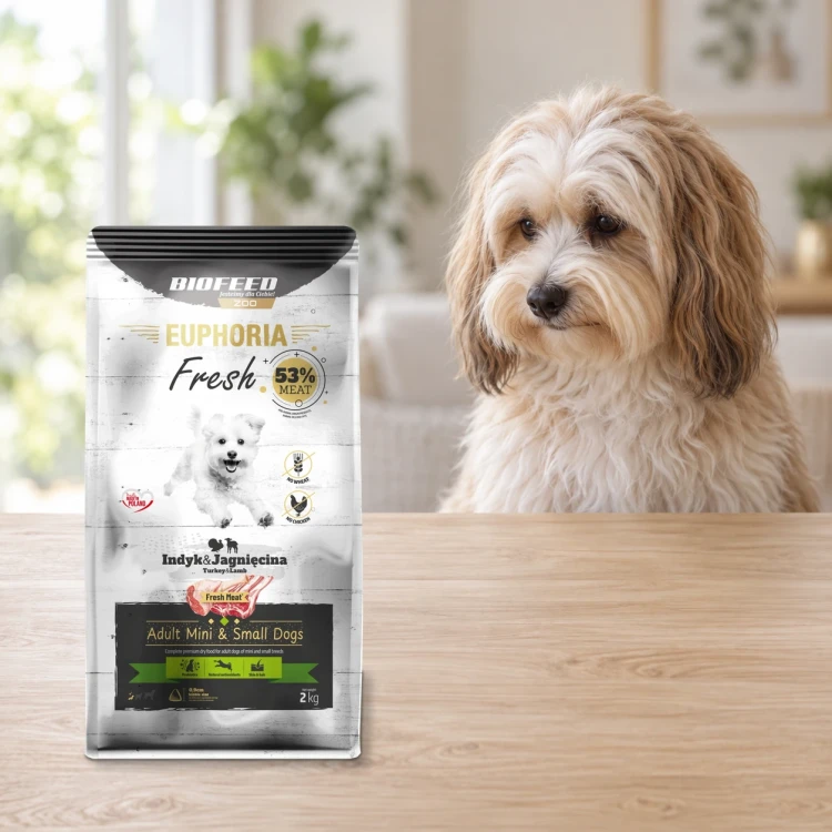 Worek 2 kg karmy Euphoria Fresh z indykiem i jagnięciną dla dorosłych psów mini i małych ras obok psa w mieszkaniu.