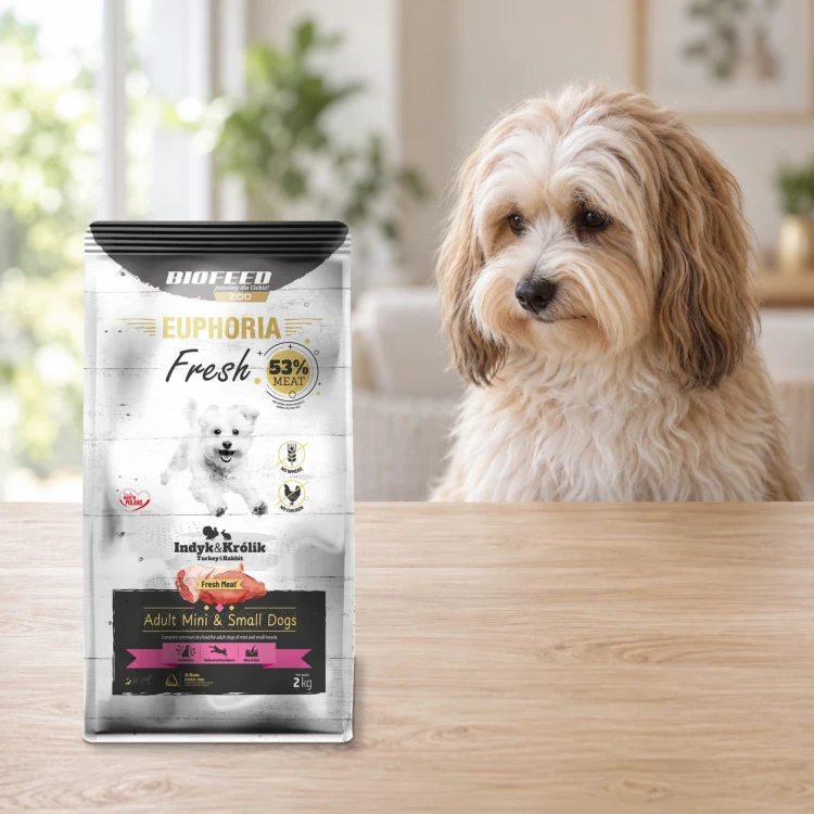 Worek 2 kg karmy Euphoria Fresh z indykiem i królikiem dla dorosłych psów mini i małych ras obok psa w mieszkaniu.