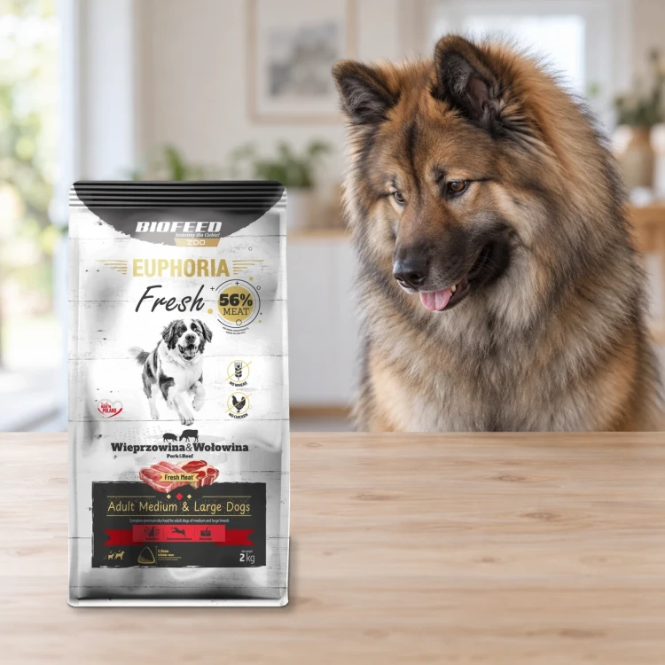 Worek 2 kg karmy Euphoria Fresh z wieprzowiną i wołowiną dla dorosłych psów średnich i dużych ras obok psa w mieszkaniu.
