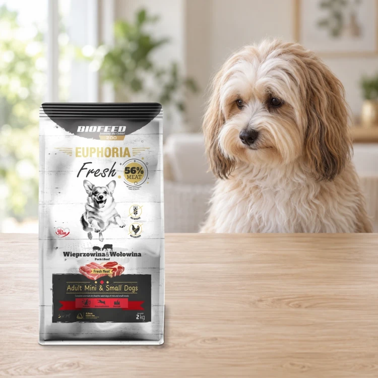 Worek 2 kg karmy Euphoria Fresh z wieprzowiną i wołowiną dla dorosłych psów mini i małych ras obok psa w mieszkaniu.