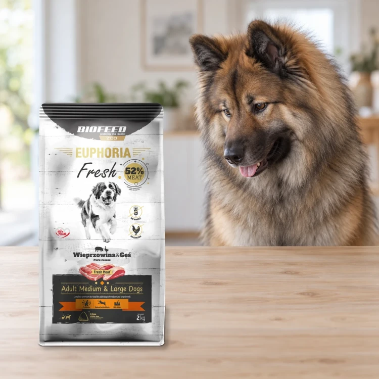 Worek 2 kg karmy Euphoria Fresh z wieprzowiną i gęsią dla dorosłych psów średnich i dużych ras obok psa w mieszkaniu.