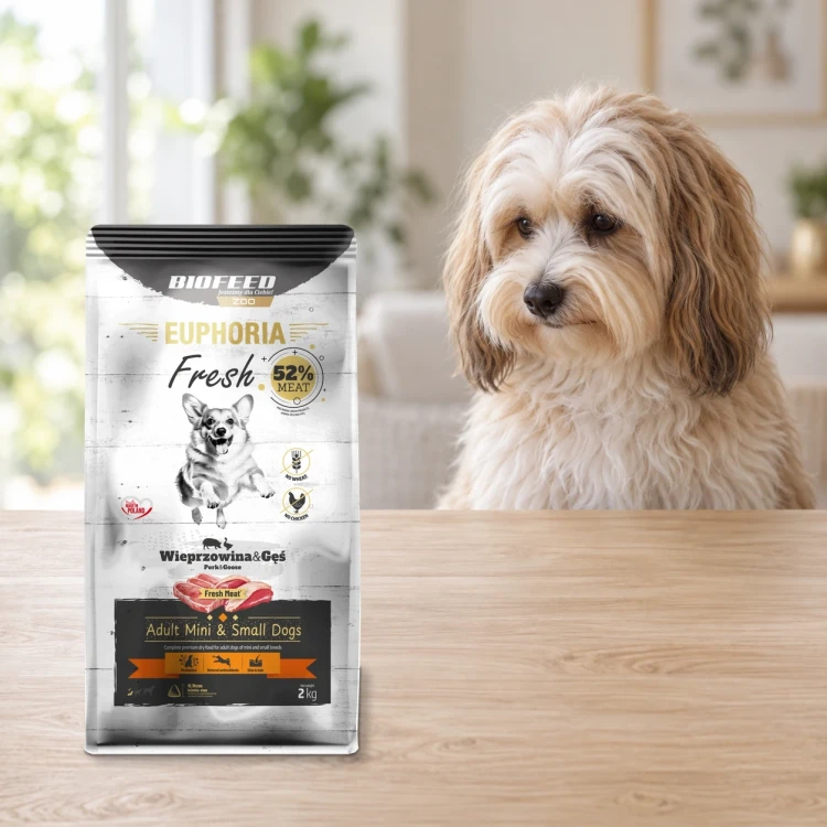 Worek 2 kg karmy Euphoria Fresh z wieprzowiną i gęsią dla dorosłych psów mini i małych ras obok psa w mieszkaniu.