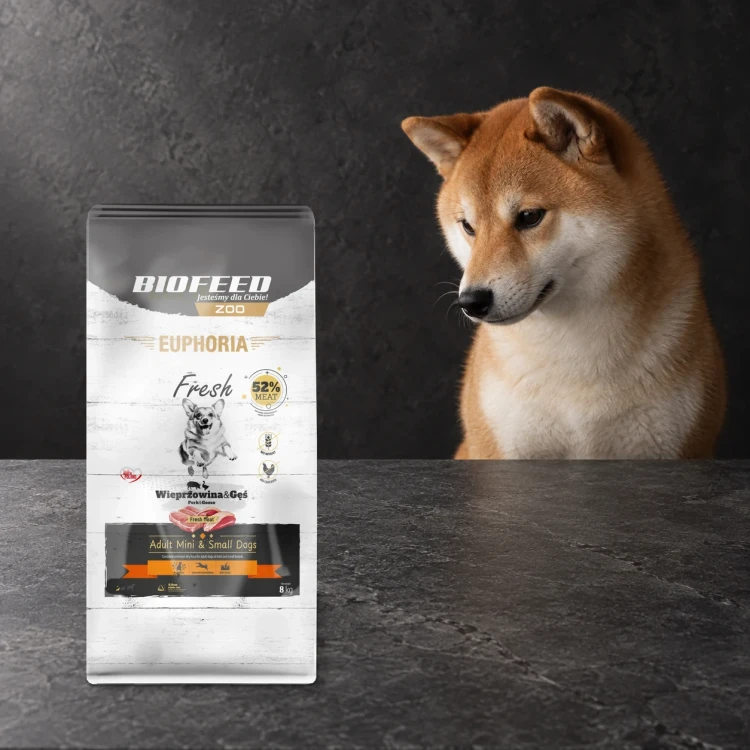 Worek 8 kg karmy Euphoria Fresh z wieprzowiną i gęsią dla dorosłych psów mini i małych ras obok psa na ciemnym tle.