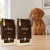 Dwa worki karmy EMPIRE Legendary Taste Puppy Growth Diet 25+ dla szczeniąt dużych ras po 12 kg obok szczeniaka wyżła węgierskiego w mieszkaniu