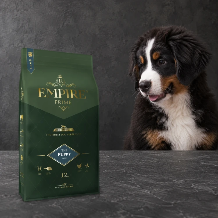 Worek karmy EMPIRE Prime Puppy 25+ dla szczeniąt dużych ras 12 kg obok szczeniaka berneńskiego psa pasterskiego na ciemnym tle