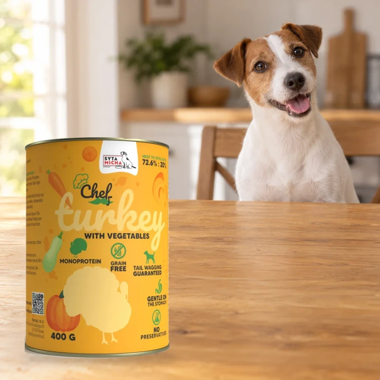 Puszka karmy Syta Micha Indyk z warzywami 400 g obok psa rasy Jack Russell terrier w mieszkaniu
