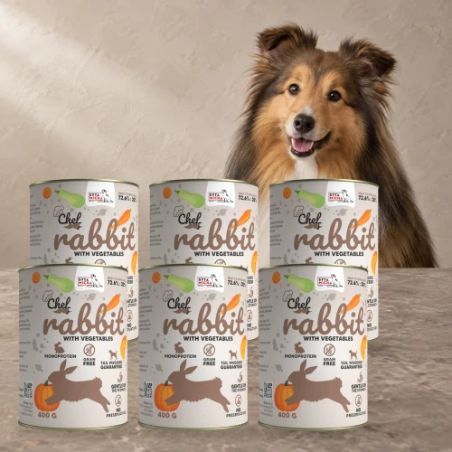 Sześć puszek karmy Syta Micha Królik z warzywami 6 × 400 g obok psa rasy owczarek szetlandzki na tle w kolorach opakowania