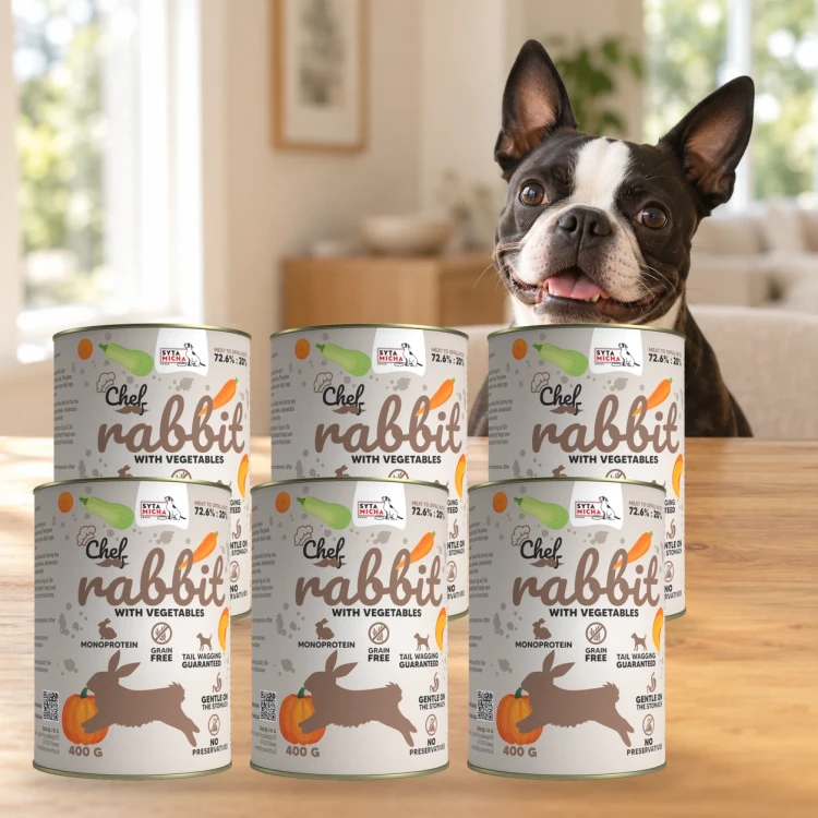 Sześć puszek karmy Syta Micha Królik z warzywami 6 × 400 g obok psa rasy Boston terrier w mieszkaniu