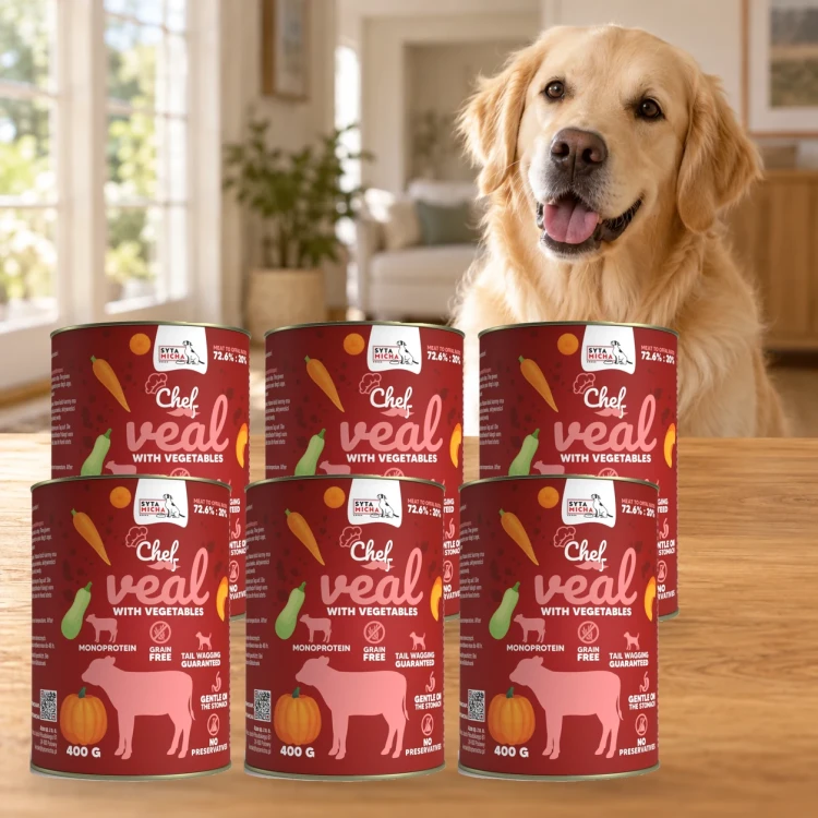 Sześć puszek karmy Syta Micha Cielęcina z warzywami 6 × 400 g obok psa rasy Golden retriever w mieszkaniu