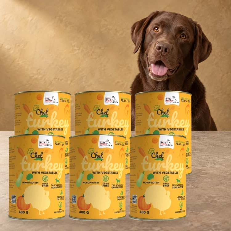 Sześć puszek karmy Syta Micha Indyk z warzywami 6 × 400 g obok psa rasy Labrador retriever na tle w kolorach opakowania