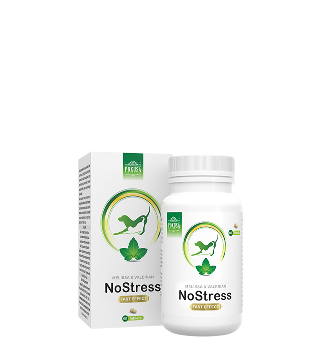 Pokusa NoStress – 60 tabletek dla psa i kota