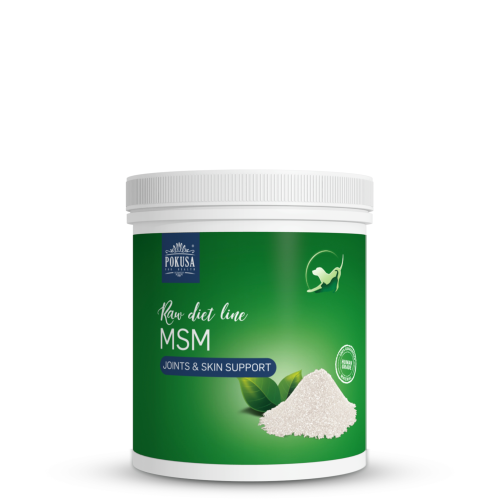 Pokusa RawDietLine MSM 300 g
