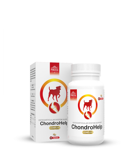 Pokusa ChondroHelp 110 tabletek – butelka i kartonik