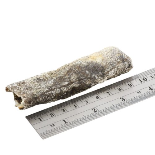 Podłużny pasek Fish4Dogs Sea Jerky Fish Strips obok metalowej linijki, z widoczną chropowatą powierzchnią