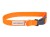 amiplay Samba XL – pomarańczowa obroża dla psa, obwód 45–70 cm