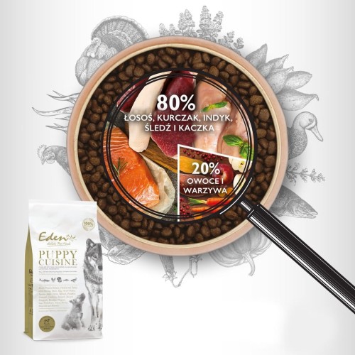 Grafika Eden Puppy Cuisine z miską pod lupą, ilustracjami składników i oznaczeniami ich proporcji