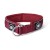 BullyBillows RR Collar Soft Padded – obroża burgund, szerokość 5 cm