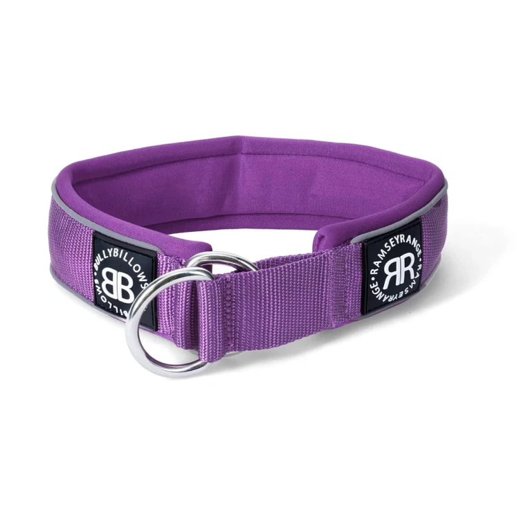 BullyBillows RR Collar Soft Padded – obroża fioletowa, szerokość 5 cm