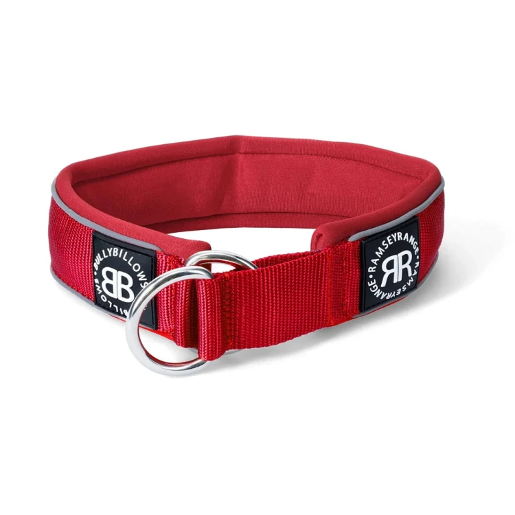 BullyBillows RR Collar Soft Padded – obroża czerwona, szerokość 5 cm