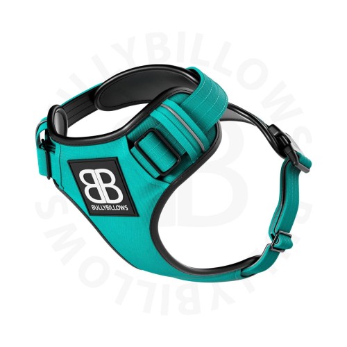 BullyBillows Premium Comfort Harness – szelki turkusowe