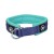 BullyBillows RR Collar 4 cm – obroża półzaciskowa niebiesko-turkusowa