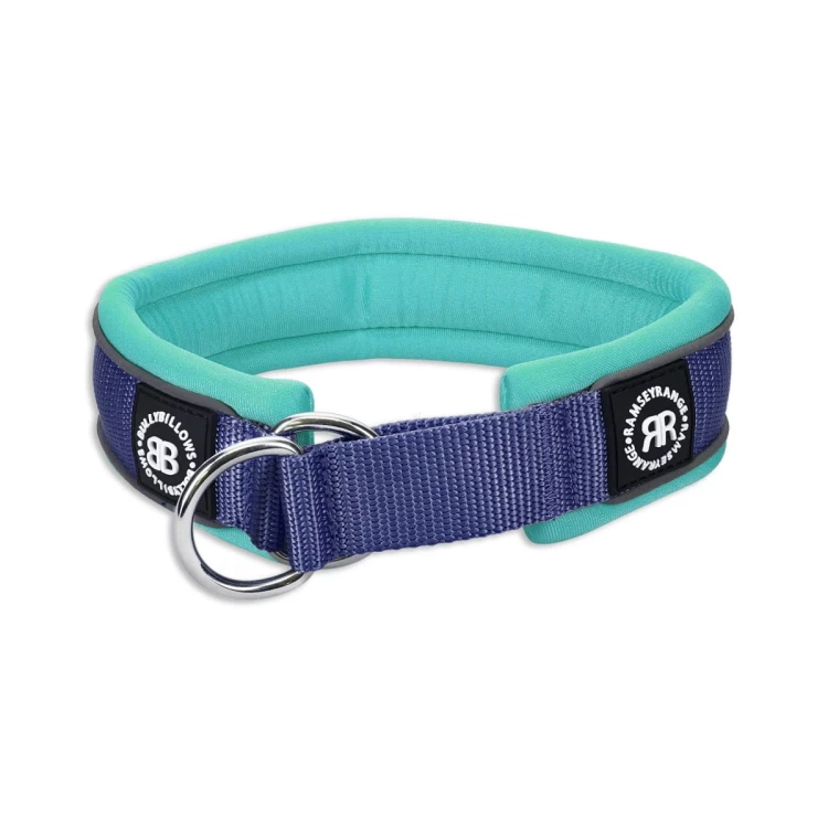 BullyBillows RR Collar 4 cm – obroża półzaciskowa niebiesko-turkusowa