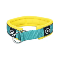 4cm RR Collar Soft Padded & Reflective BULLYBILLOWS- Obroża półzaciskowa dla psa turkusowo-żółta