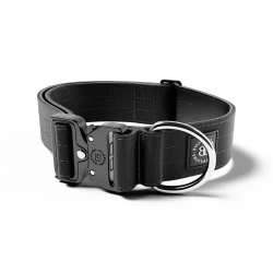 5cm Combat® Collar BULLYBILLOWS obroża dla psa z klamrą czarna