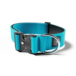5cm Combat® Collar BULLYBILLOWS obroża dla psa z klamrą  jasno niebieska