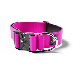 5cm Combat® Collar BULLYBILLOWS obroża dla psa z klamrą fuksja