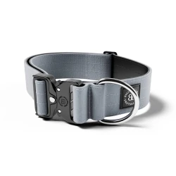 5cm Combat® Collar BULLYBILLOWS obroża dla psa z klamrą szara
