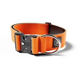 5cm Combat® Collar BULLYBILLOWS- obroża dla psa z klamrą Combat® 5cm - pomarańczowa