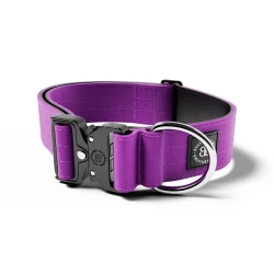 5cm Combat® Collar BULLYBILLOWS obroża dla psa z klamrą fioletowa