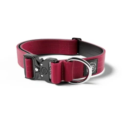 4cm Combat® Collar BULLYBILLOWS obroża dla psa z klamrą burgund
