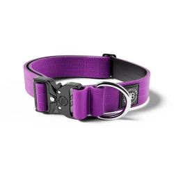 4cm Combat® Collar BULLYBILLOWS obroża dla psa z klamrą fioletowa