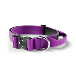 4cm Combat® Collar With Handle BULLYBILLOWS obroża dla psa z uchwytem fioletowa