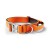 BullyBillows Combat Platinum 4 cm pomarańczowa – obroża z uchwytem