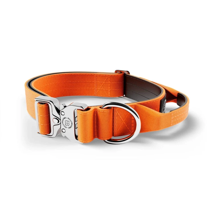 BullyBillows Combat Platinum 4 cm pomarańczowa – obroża z uchwytem